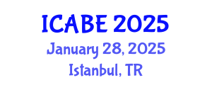 International Conference on Accounting, Business and Economics (ICABE) January 28, 2025 - Istanbul, Turkey