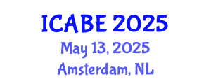 International Conference on Accounting, Business and Economics (ICABE) May 13, 2025 - Amsterdam, Netherlands