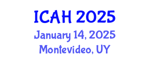 International Conference on Aerodynamics and Hydrodynamics (ICAH) January 14, 2025 - Montevideo, Uruguay