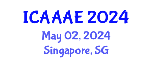 International Conference on Aeronautical and Aerospace Engineering (ICAAAE) May 02, 2024 - Singapore, Singapore