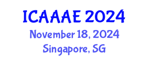International Conference on Aeronautical and Aerospace Engineering (ICAAAE) November 18, 2024 - Singapore, Singapore