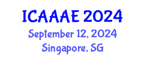 International Conference on Aeronautical and Aerospace Engineering (ICAAAE) September 12, 2024 - Singapore, Singapore