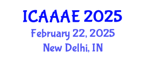 International Conference on Aeronautical and Aerospace Engineering (ICAAAE) February 22, 2025 - New Delhi, India