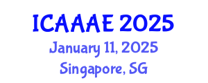 International Conference on Aeronautical and Aerospace Engineering (ICAAAE) January 11, 2025 - Singapore, Singapore