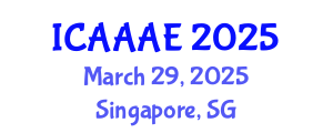 International Conference on Aeronautical and Aerospace Engineering (ICAAAE) March 29, 2025 - Singapore, Singapore