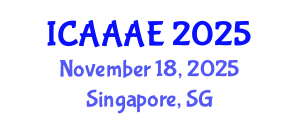 International Conference on Aeronautical and Aerospace Engineering (ICAAAE) November 18, 2025 - Singapore, Singapore