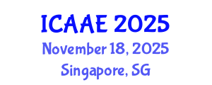 International Conference on Aerospace and Aviation Engineering (ICAAE) November 18, 2025 - Singapore, Singapore