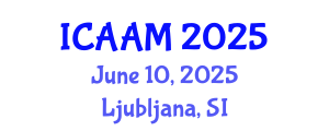 International Conference on Applied Analysis for Materials (ICAAM) June 10, 2025 - Ljubljana, Slovenia