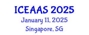 International Conference on Economic and Administrative Sciences (ICEAAS) January 11, 2025 - Singapore, Singapore