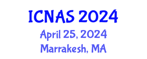 International Conference on Nanomaterials and Atomic Structure (ICNAS) April 25, 2024 - Marrakesh, Morocco