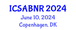 International Conference on Structural Adhesive Bonding and Nanoparticle Reinforcement (ICSABNR) June 10, 2024 - Copenhagen, Denmark