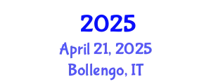 International Experts Summit on Surgery and Anaesthesia April 21, 2025 - Bollengo, Italy