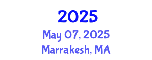 International Symposium on Dielectric Materials and Applications May 07, 2025 - Marrakesh, Morocco