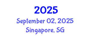 Renewable Energy Project Finance & Financial Modelling September 02, 2025 - Singapore, Singapore