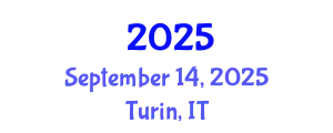 Artificial Intelligence in Structural Engineering September 14, 2025 - Turin, Italy