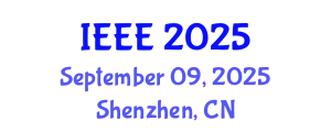 Optoelectronics Global Conference (IEEE) September 09, 2025 - Shenzhen, China