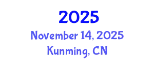 International Conference on Intelligent Medicine and Health November 14, 2025 - Kunming, China