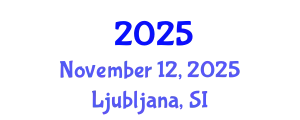 International Conference of Nanoscience and Nanoengineering November 12, 2025 - Ljubljana, Slovenia