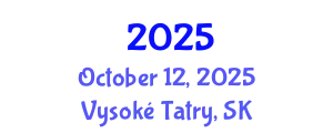 International Conference on Novel Materials Fundamentals and Application October 12, 2025 - Vysoké Tatry, Slovakia